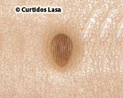 MATEADOR GRABADOR 4-5-P973