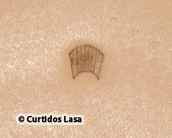 MATEADOR GRABADOR 6-5-F933