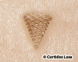MATEADOR GRABADOR 6-7-F915